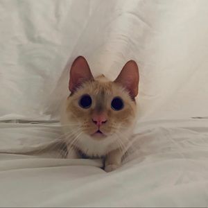 Meet your Posher, Hayleigh